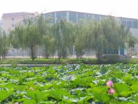 Albums/20060800-China Aug 2006/20060804-Shenyang University/27